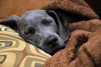 Why is my house so cold? The Secret Solution