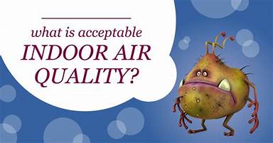 Improve Indoor Air Quality And Curb Seasonal Allergies